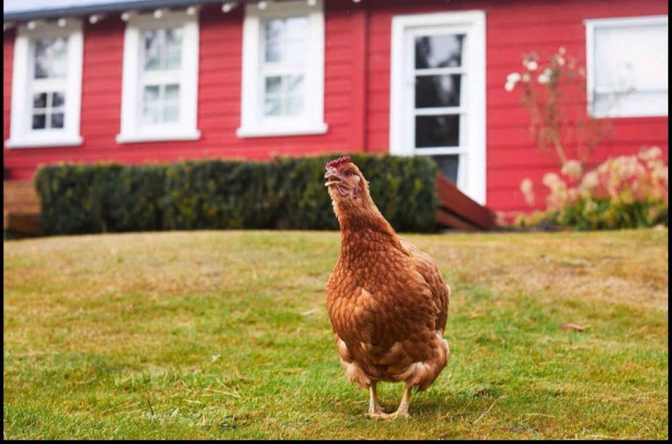 Villa Little Red School House Oamaru Exterior foto